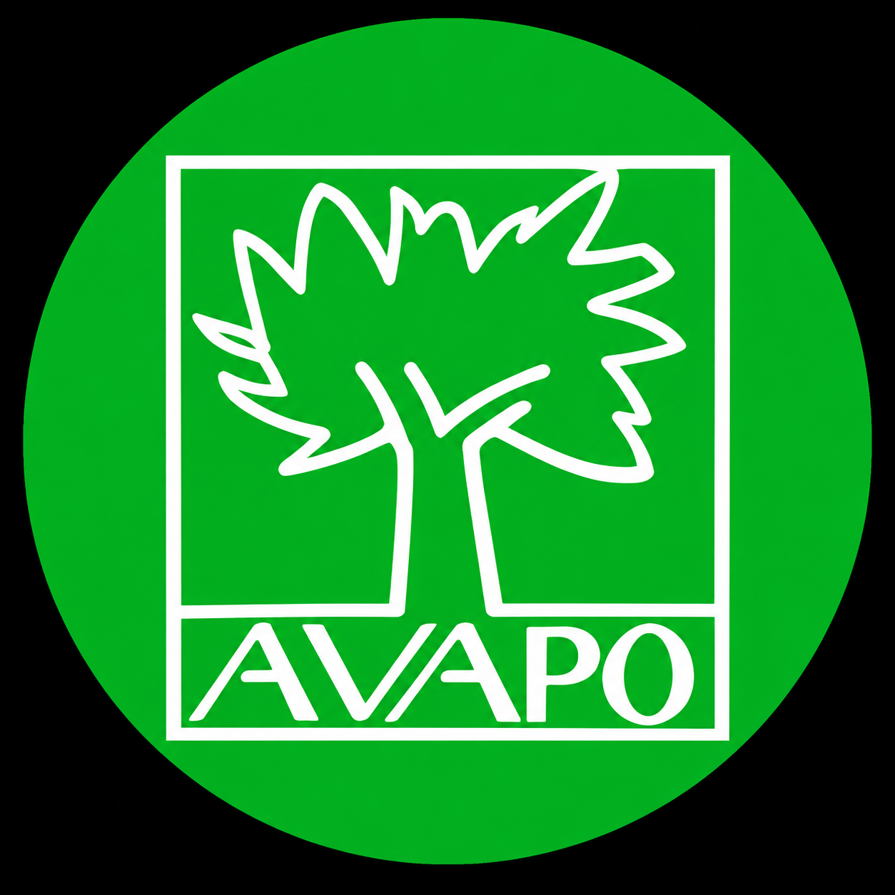 AVAPO Venezia